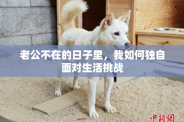 老公不在的日子里，我如何独自面对生活挑战
