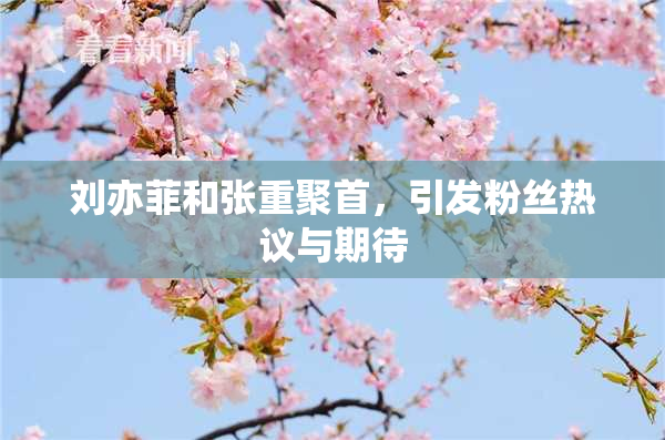 刘亦菲和张重聚首，引发粉丝热议与期待