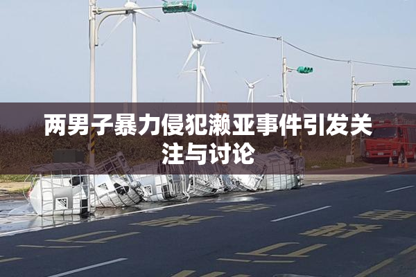 两男子暴力侵犯濑亚事件引发关注与讨论