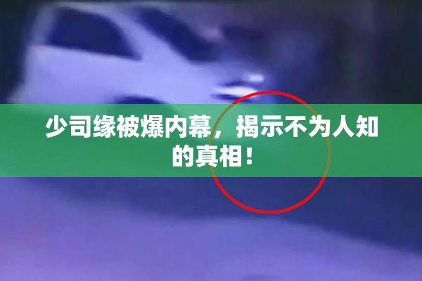 少司缘被爆内幕，揭示不为人知的真相！