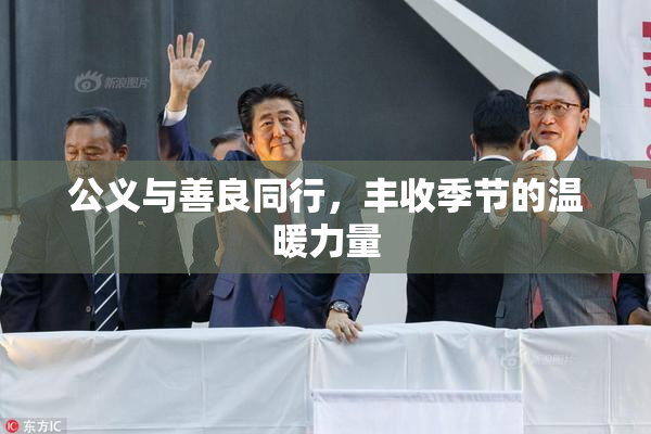 公义与善良同行，丰收季节的温暖力量