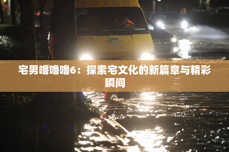 宅男噜噜噜6：探索宅文化的新篇章与精彩瞬间