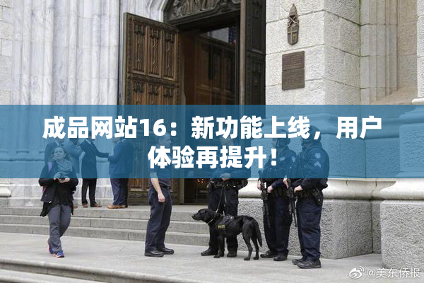 成品网站16：新功能上线，用户体验再提升！