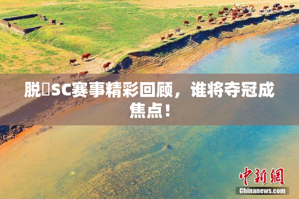 脱糞SC赛事精彩回顾，谁将夺冠成焦点！