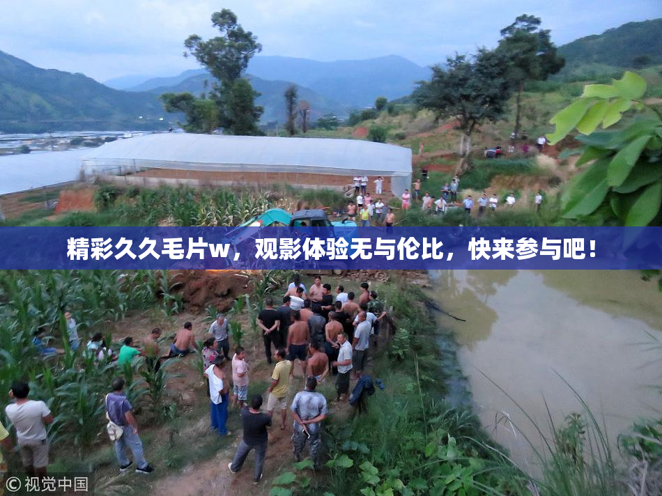 精彩久久毛片w，观影体验无与伦比，快来参与吧！