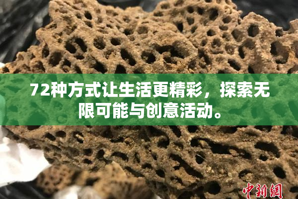 72种方式让生活更精彩，探索无限可能与创意活动。