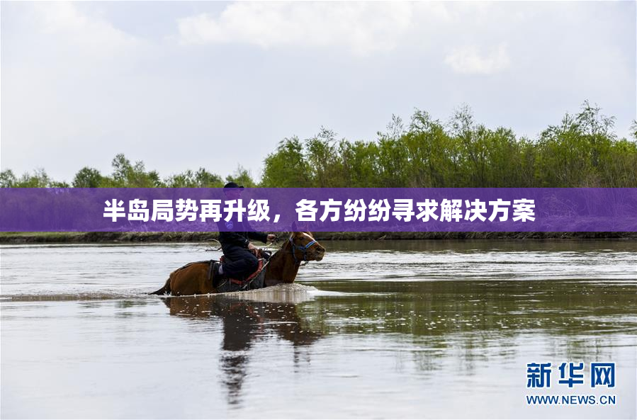 半岛局势再升级，各方纷纷寻求解决方案