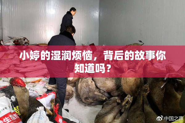 小婷的湿润烦恼，背后的故事你知道吗？