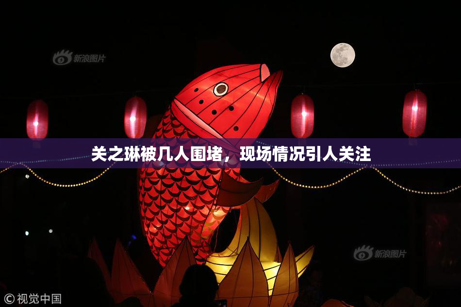 关之琳被几人围堵，现场情况引人关注