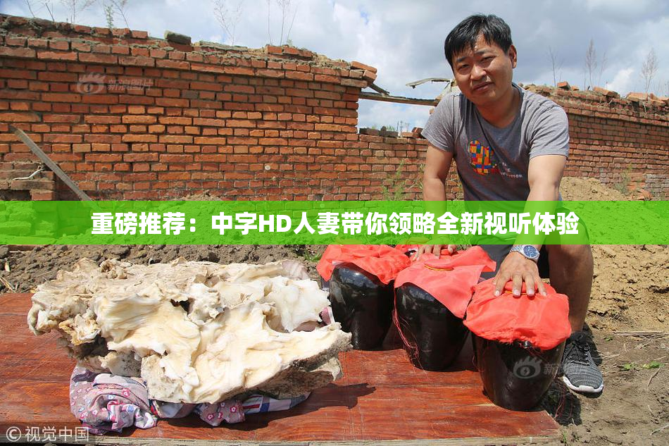 重磅推荐：中字HD人妻带你领略全新视听体验