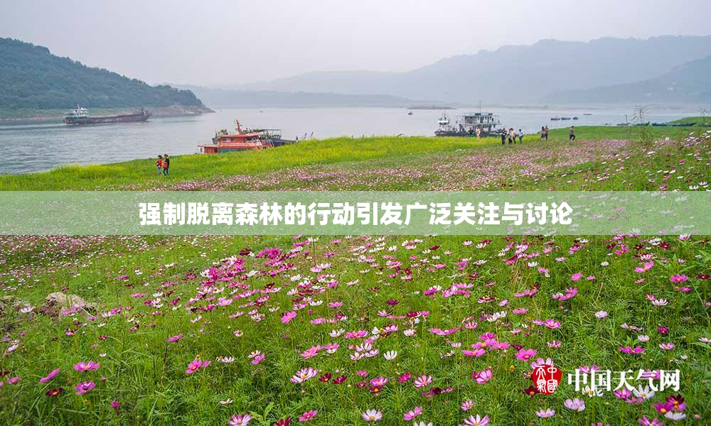 强制脱离森林的行动引发广泛关注与讨论