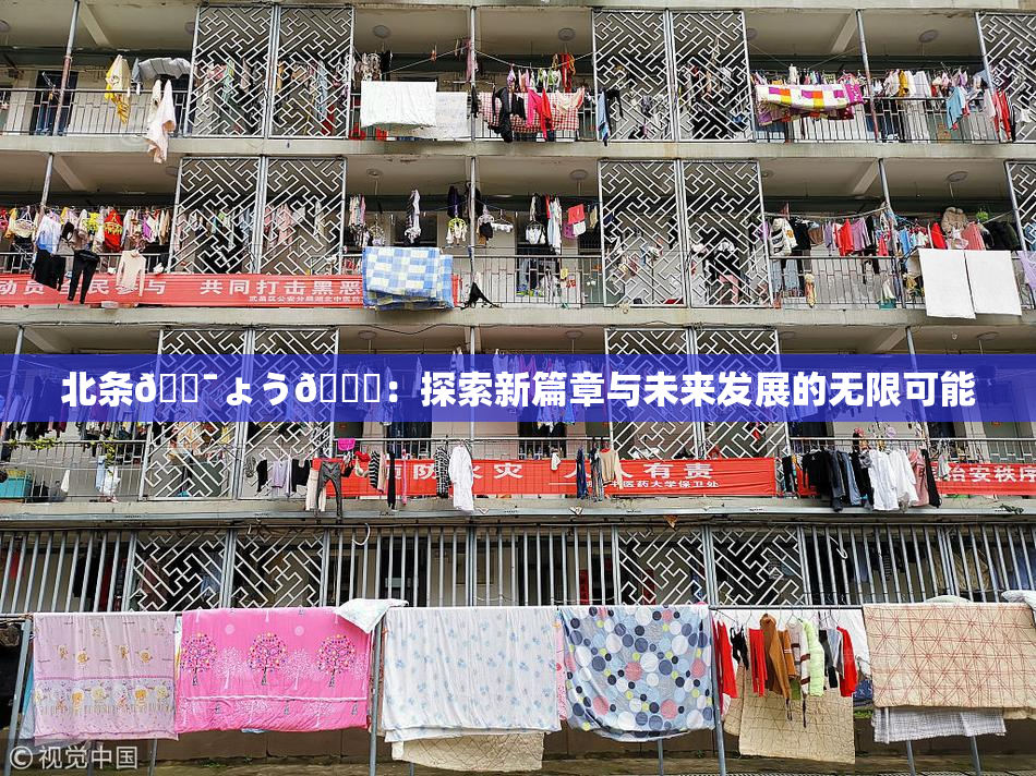 北条🔯ょう🍓：探索新篇章与未来发展的无限可能