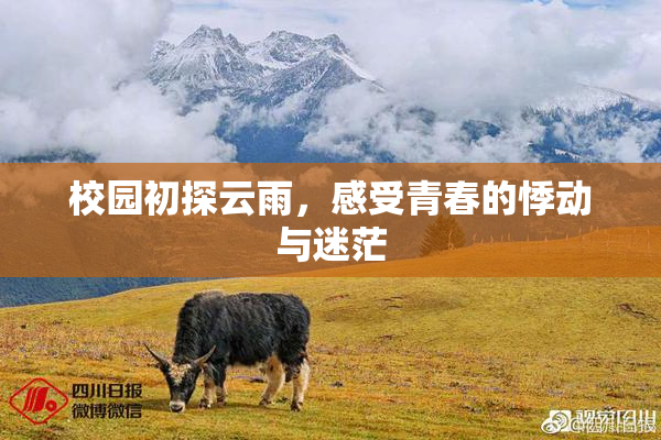 校园初探云雨，感受青春的悸动与迷茫