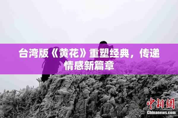 台湾版《黄花》重塑经典，传递情感新篇章