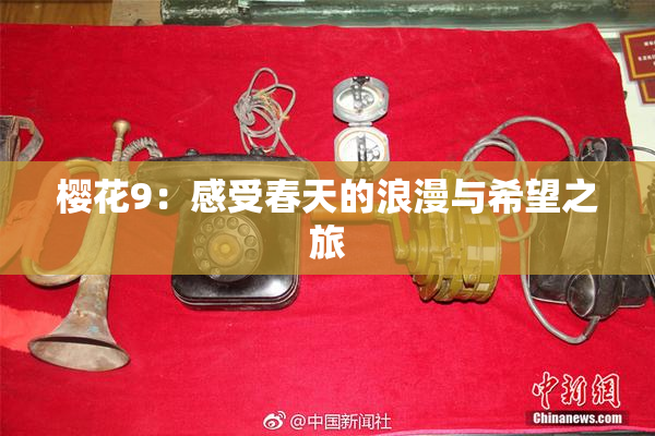樱花9：感受春天的浪漫与希望之旅