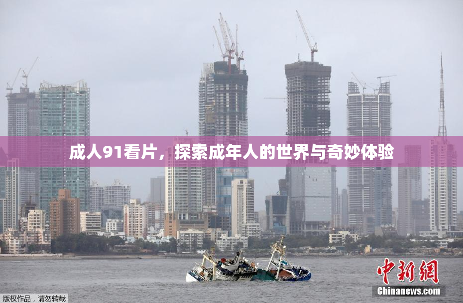 成人91看片，探索成年人的世界与奇妙体验