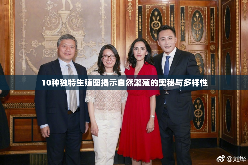 10种独特生殖图揭示自然繁殖的奥秘与多样性