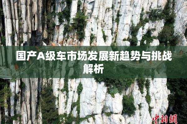 国产A级车市场发展新趋势与挑战解析