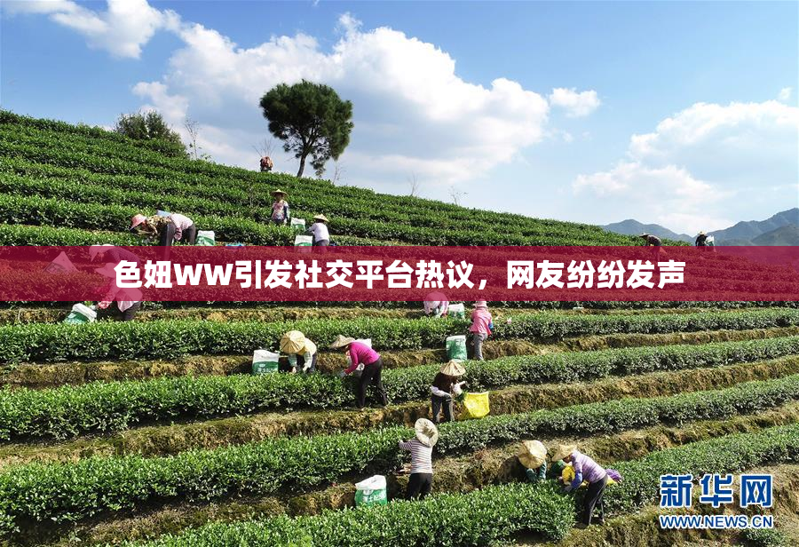 色妞WW引发社交平台热议，网友纷纷发声