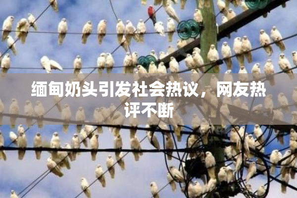 缅甸奶头引发社会热议，网友热评不断