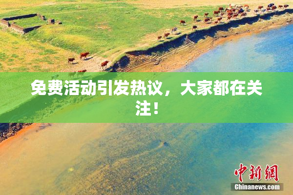 免费活动引发热议，大家都在关注！