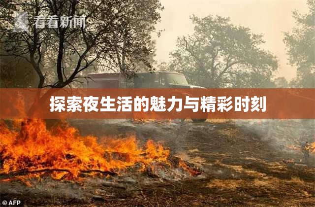 探索夜生活的魅力与精彩时刻