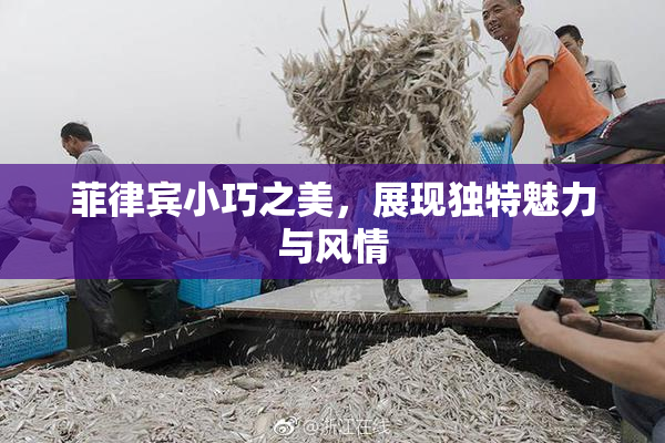 菲律宾小巧之美，展现独特魅力与风情