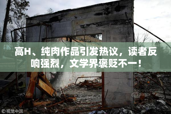 高H、纯肉作品引发热议，读者反响强烈，文学界褒贬不一！