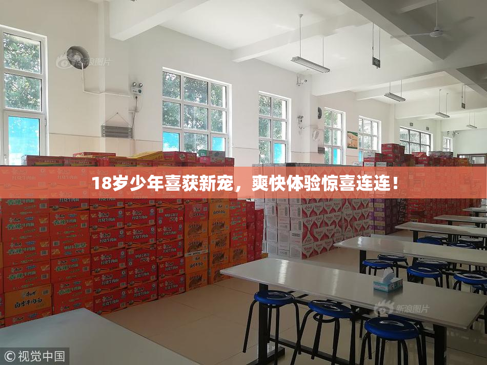18岁少年喜获新宠，爽快体验惊喜连连！