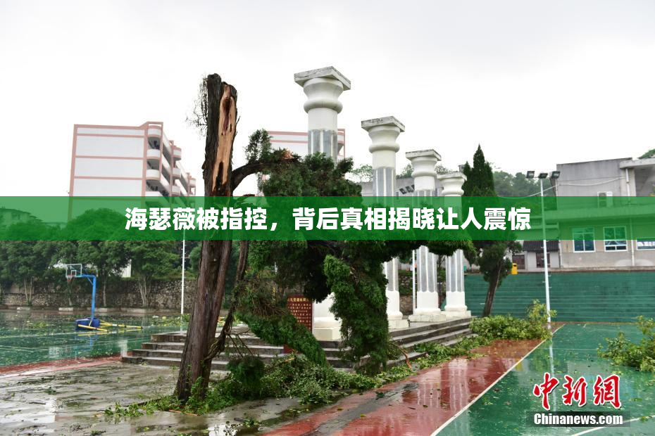 海瑟薇被指控，背后真相揭晓让人震惊