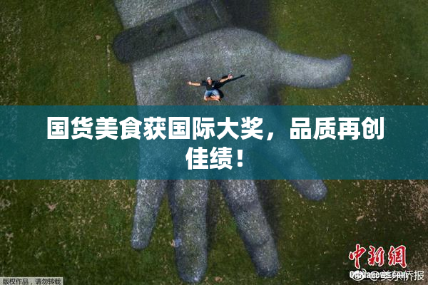国货美食获国际大奖，品质再创佳绩！