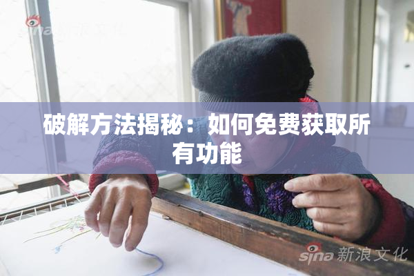 破解方法揭秘：如何免费获取所有功能