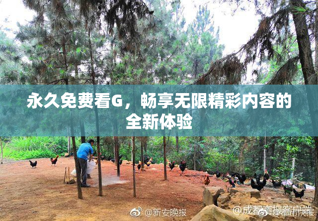 永久免费看G，畅享无限精彩内容的全新体验