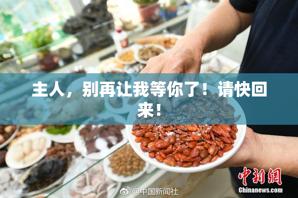 主人，别再让我等你了！请快回来！