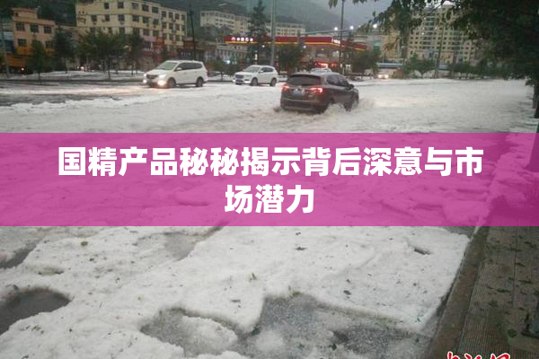 国精产品秘秘揭示背后深意与市场潜力