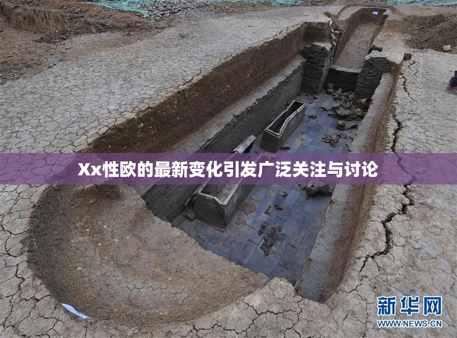 Xx性欧的最新变化引发广泛关注与讨论