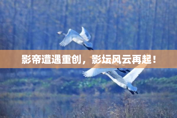 影帝遭遇重创，影坛风云再起！