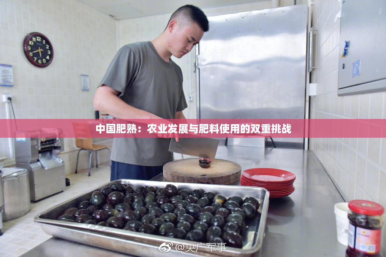中国肥熟：农业发展与肥料使用的双重挑战