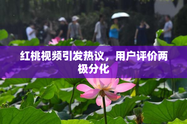 红桃视频引发热议，用户评价两极分化