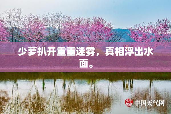 少萝扒开重重迷雾，真相浮出水面。