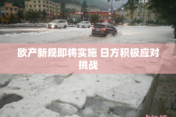 欧产新规即将实施 日方积极应对挑战