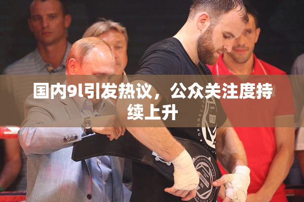 国内9l引发热议，公众关注度持续上升