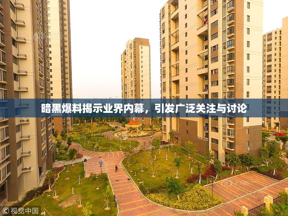 暗黑爆料揭示业界内幕，引发广泛关注与讨论