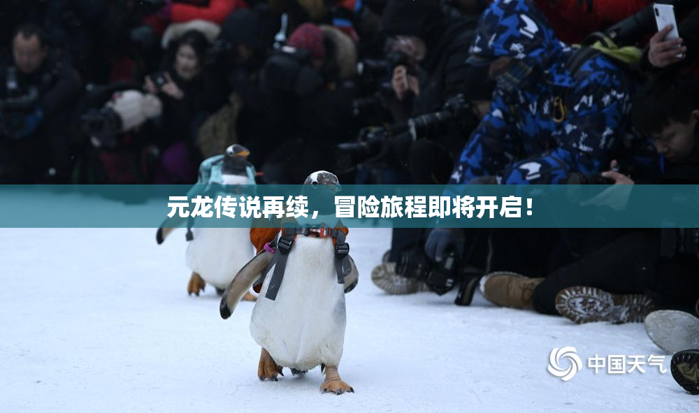 元龙传说再续，冒险旅程即将开启！