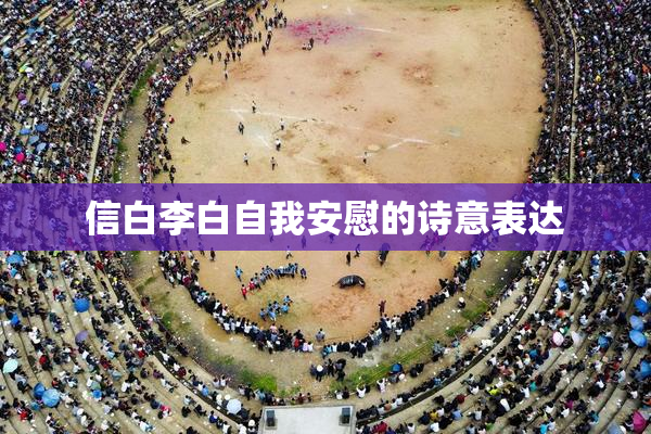信白李白自我安慰的诗意表达
