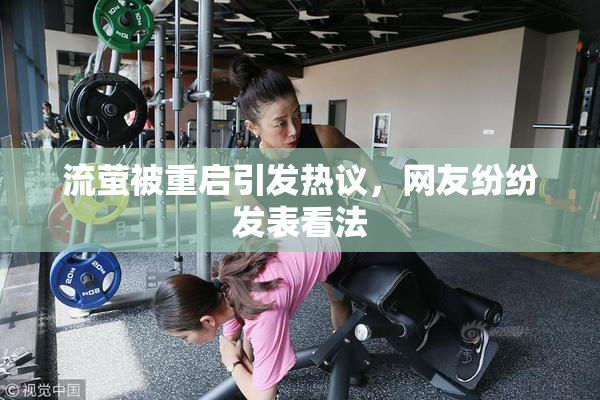 流萤被重启引发热议，网友纷纷发表看法