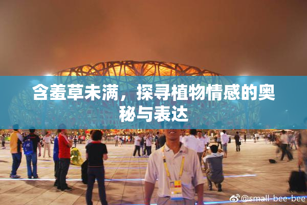 含羞草未满，探寻植物情感的奥秘与表达
