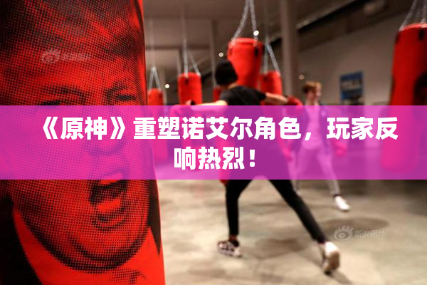 《原神》重塑诺艾尔角色，玩家反响热烈！