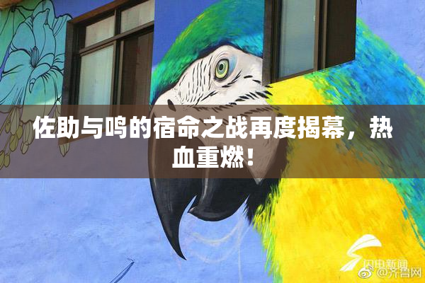 佐助与鸣的宿命之战再度揭幕，热血重燃！