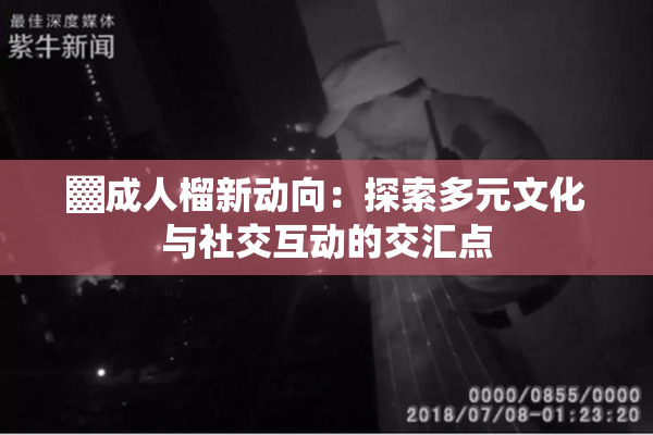 ▓成人榴新动向：探索多元文化与社交互动的交汇点